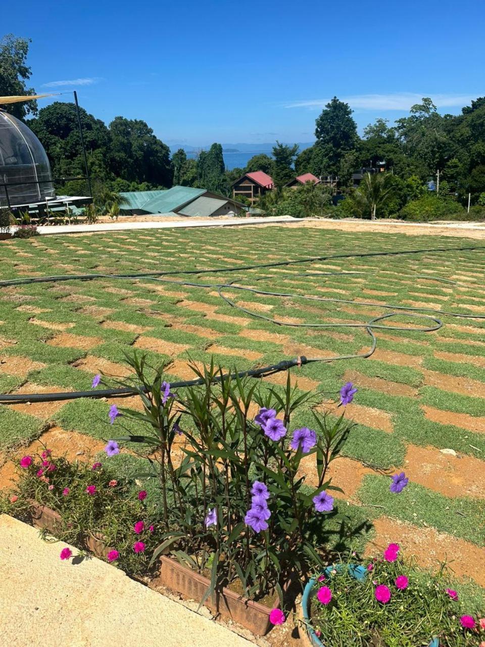 Perhentian Sebiru Place Pulau Perhentian Kecil Exterior foto
